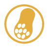 Cacahuete